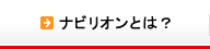 ナビリオンとは？