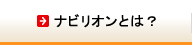 ナビリオンとは？