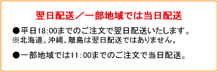 翌日配送／一部地域では当日配送